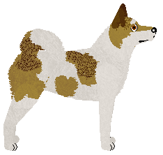 Aragorn's AMORE MIO — “Arun”