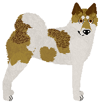 Profile image of Aragorn's AMORE MIO