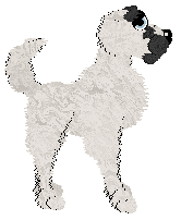 SGP's Dreams of Wolves in the Snow at Mythic Silence — “Reece”