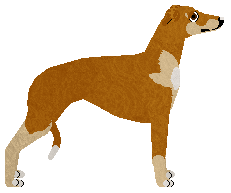 Dragosani Z KWIATKA NA KWIATEK — “Sasanka”