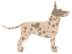 Dragosani LISTA PRIORYTETÓW — “Farsa”