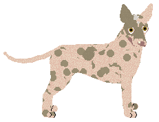 Profile image of Dragosani LISTA PRIORYTETÓW