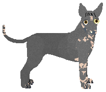 Profile image of Dragosani PIĘKNY DRAŃ