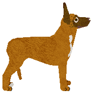 Dragosani HASHTAG — “Hash”