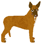 Profile image of Dragosani HASHTAG