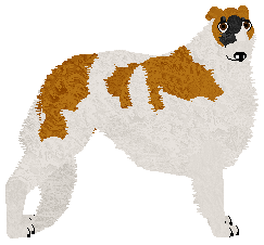 Profile image of Dragosani DOM NA PRERII