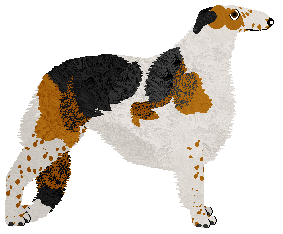 Dragosani SAMOTNOŚĆ — “Inari”