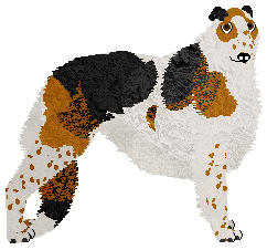 Profile image of Dragosani SAMOTNOŚĆ