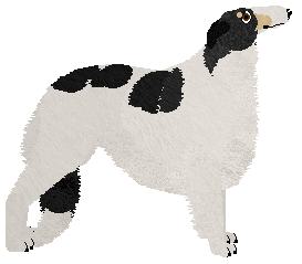 Deithwen Nine Inch Nails — “OMNIA”