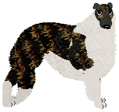 Profile image of Dragosani TO NIE BYŁ FILM