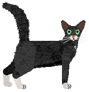 Glitterfeet's Mad Maxine — “Fighter”