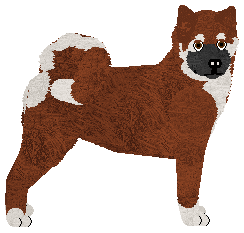 Profile image of Dragosani BROAD PEAK of My Vertical World