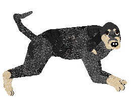 Vanilla's Wild Herb — “Marjoram”