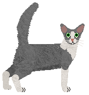 Glitterfeet's Bastion Booger — “Rocky”