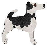 Vanilla's Saddled With You — “Gabby”