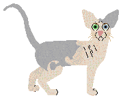 Glitterfeet's The Chatterbox — “Starr”