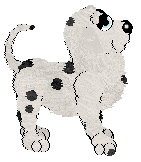 EC's Shops at Kohl's — “Beaux”