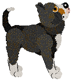 WAA/Aura's Limelight — “Fame”