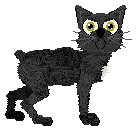 Profile image of Arrow's Wabi-Sabi