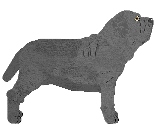 Mirror Blue's Silent to the Dream — “Ulf”