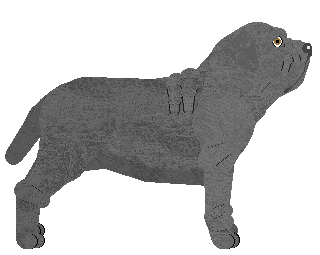 Mirror Blue's Silent to the Dream — “Ulf”