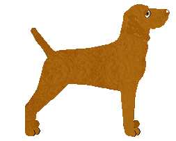 Mirror Blue's Duke of Disgrace — “Levente”