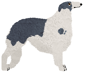 Mirror Blue's Life and Fate — “Demetri”