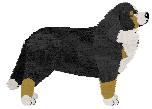 Black Week at Tricolor Dream — “Lutek”