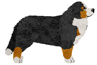 Harmony Hills at Tricolor Dream — “Mania”