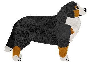 Harmony Hills at Tricolor Dream — “Mania”