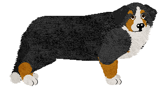 Profile image of Harmony Hills at Tricolor Dream