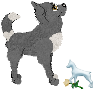 Profile image of EC's Endangered Love