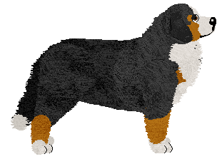 Nestea at Tricolor Dream — “Nestea”