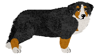 Profile image of Nestea at Tricolor Dream