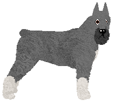 Profile image of Bearded Force Field of Gold