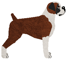 Energizing Jeden Na Sto — “Kormoran”