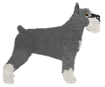 Bearded Force Flashback — “Labi”