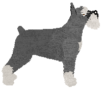 Bearded Force Flashback — “Labi”