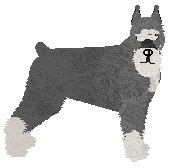 Profile image of Bearded Force Flashback