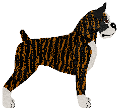 Energizing DON'T STOP ME NOW — “Lucky”