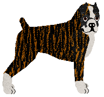 Profile image of Energizing DON'T STOP ME NOW