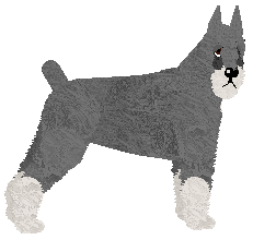 Profile image of Bearded Force Legion Samobójców