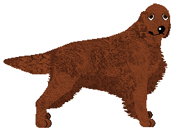 Andervale's If Not Disappear — “Alannah”