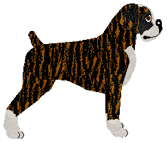 Energizing GIFT FOR U — “Baby”