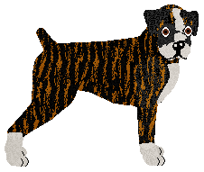 Profile image of Energizing GIFT FOR U