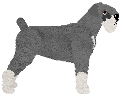 Bearded Force Akademia Pana Kleksa — “Bravo”