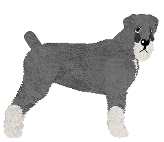 Profile image of Bearded Force Akademia Pana Kleksa