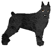 Profile image of Summer Paradise vom DeeOhGee