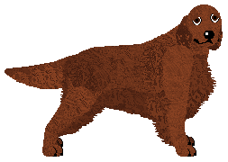 Profile image of Andervale's Sunrise Aflame