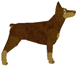 Energizing SOMETHING WRONG — “Damien”